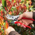 Felco 4 Pruning Shears with Free Size 9 Gloves